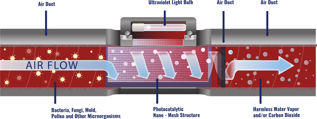 Pilot Lights