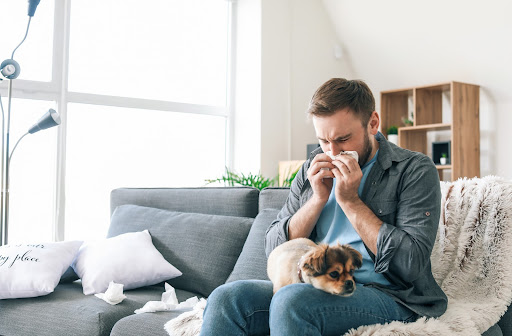 Man experiencing allergies due to shedding of his pets skin in his home