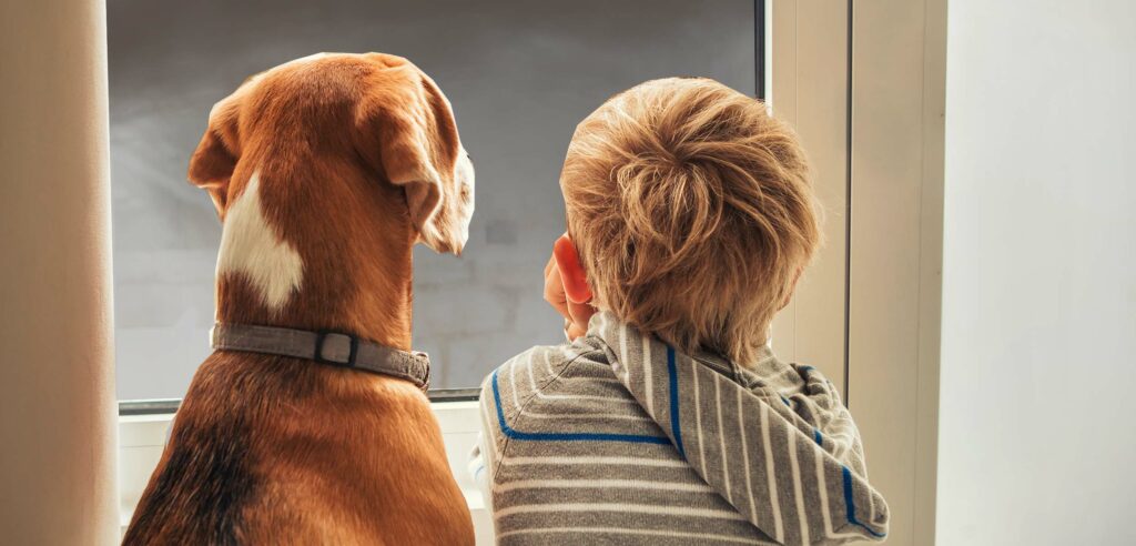 Boy and dog looking out living room window.