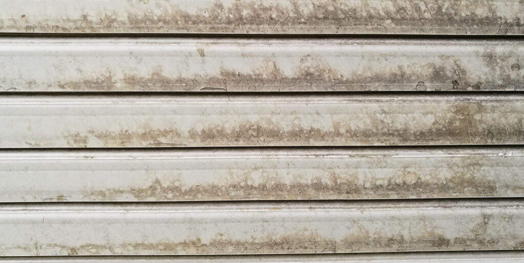 Black mold on outside of AC unit.