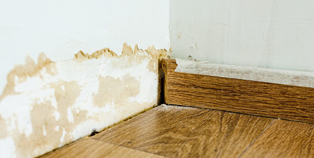 Baseboard removed from wood floor to reveal mold and moisture