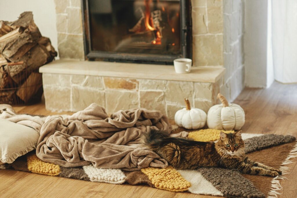 Throw rugs and blankets on hardwood floor to prevent heat loss after furnace breaks in winter