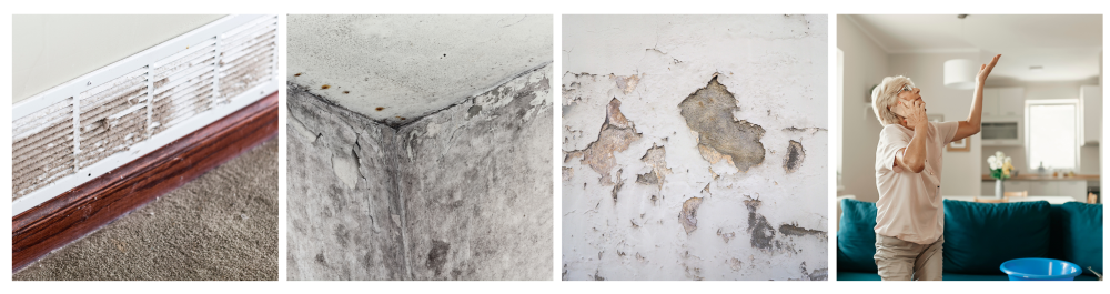 Mold buildup in a dirty air duct, indicating poor air quality. 

Black mold forming along the edge of a room. 

Damage on a wall caused by dampness and moisture.

Senior woman calling a technician while collecting water leaking from the ceiling in the living room, highlighting plumbing leaks as a common source of mold.