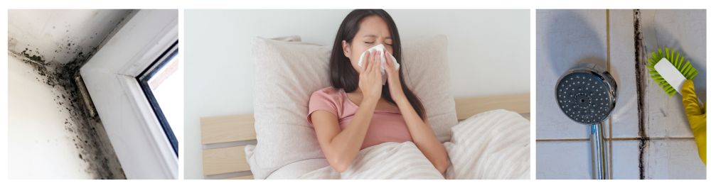Fungal mold growth on a wall corner near a window in a home. Woman in bed suffering from allergies, blowing her nose, indicating health risks from mold exposure. Black mold on bathroom walls and shower area caused by humidity and poor ventilation, highlighting the need for duct cleaning to prevent bacterial buildup.